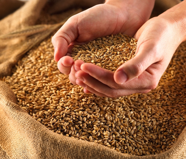 Whole-grains.jpg