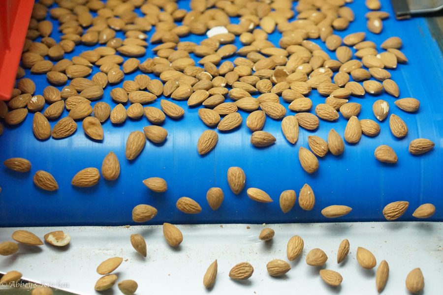 almond_california_drought_10_of_10_1.jpg