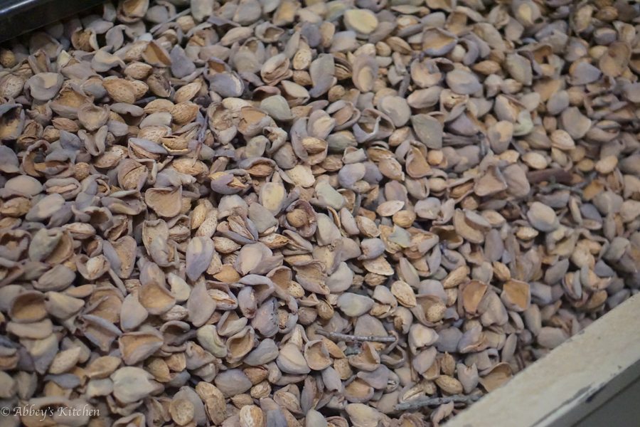 almond_california_drought_7_of_10_1.jpg