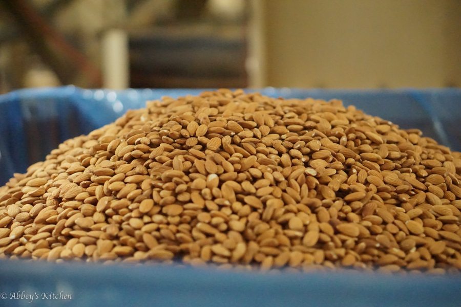 almond_california_drought_9_of_10_1.jpg