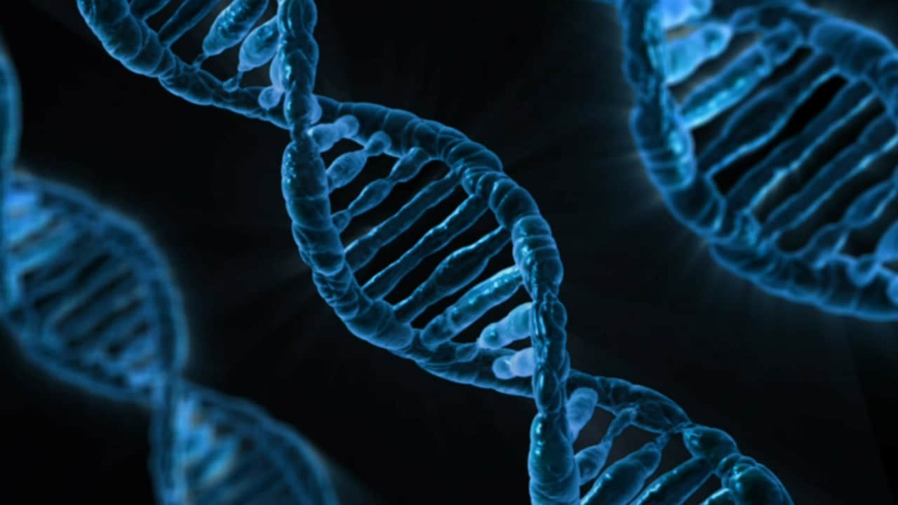 A photo of a DNA sequence.