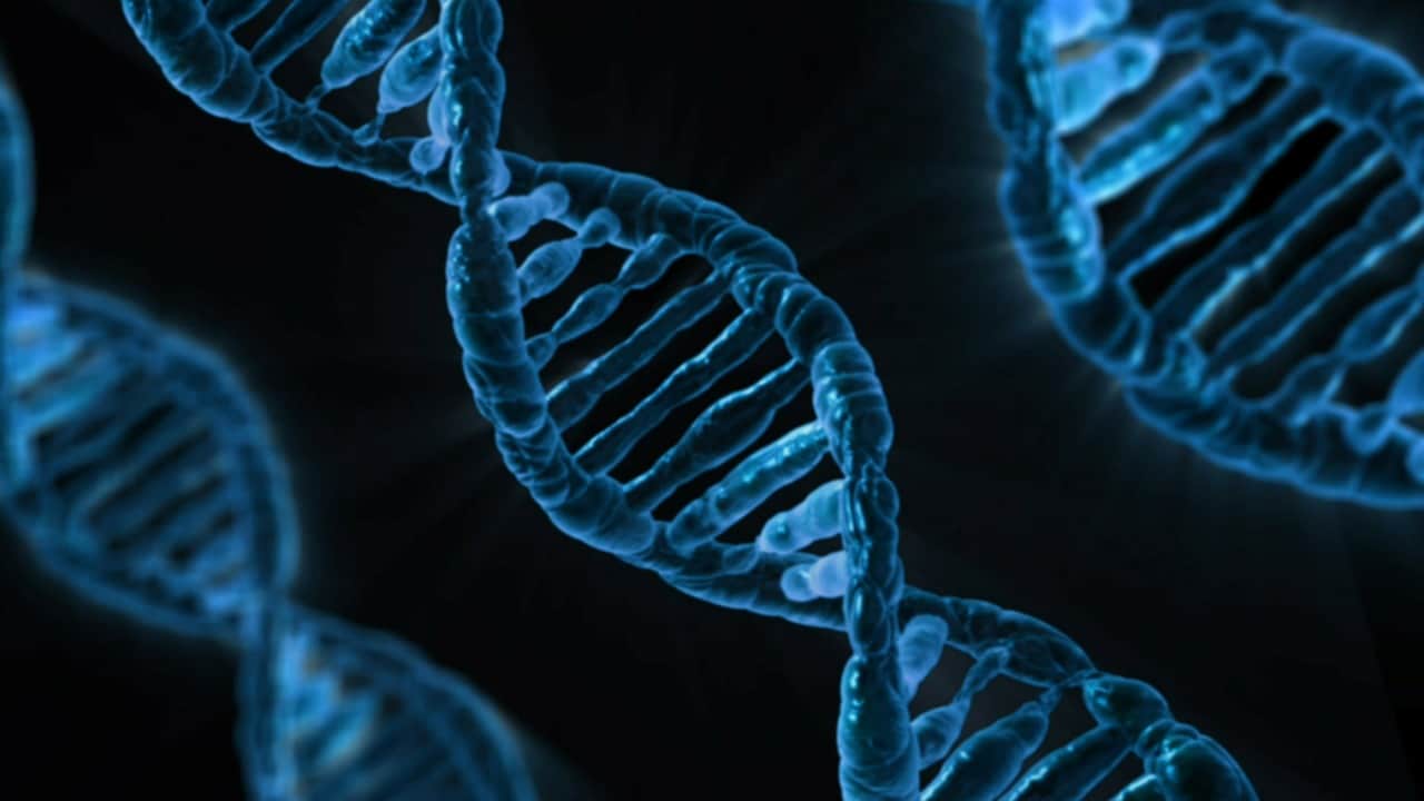 A photo of a DNA sequence.