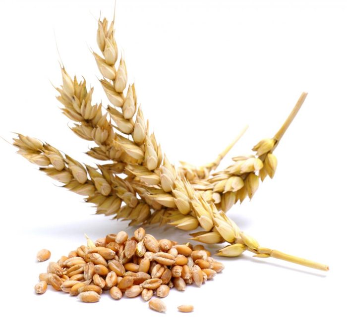 gluten_free_3_of_4.jpg