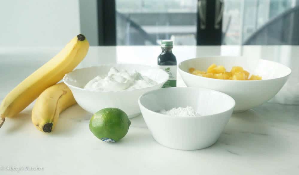 Fat Free Tropical Greek Frozen Yogurt Abbey's Kitchen