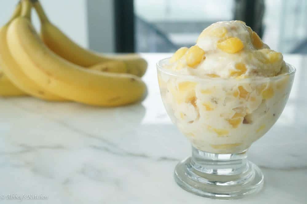 Fat Free Tropical Greek Frozen Yogurt Abbey's Kitchen