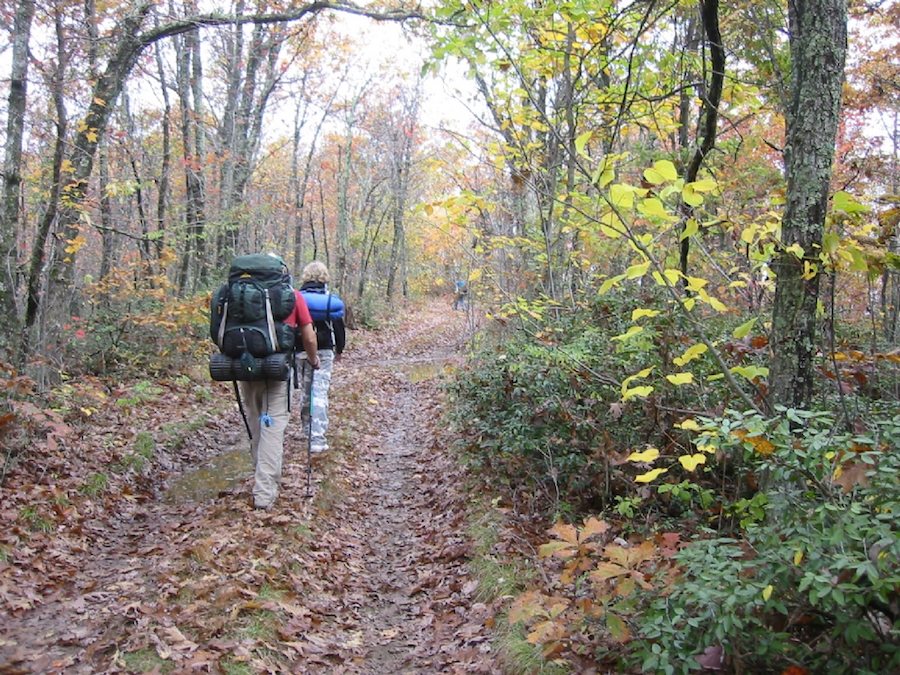 Two people hiking.