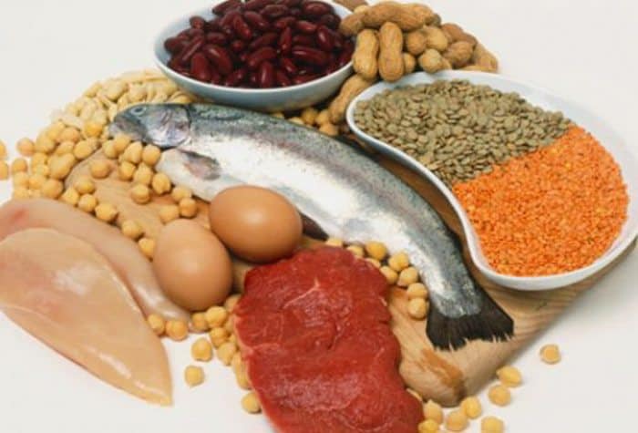 metabolism_6_of_13.jpg