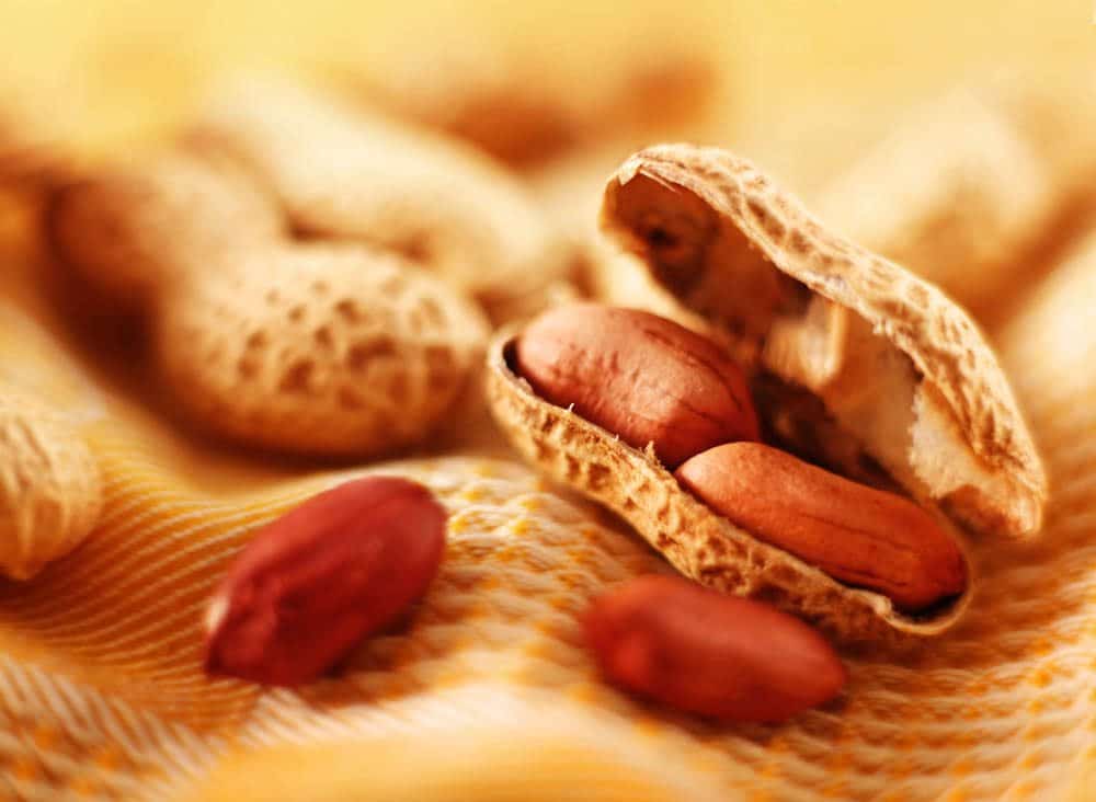 peanut_2_of_7.jpg