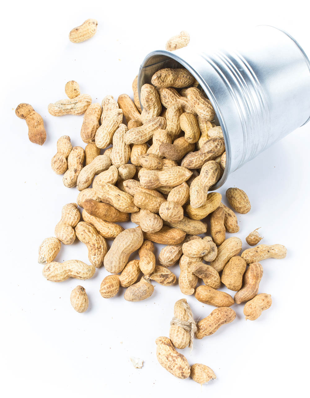 peanut_7_of_7.jpg