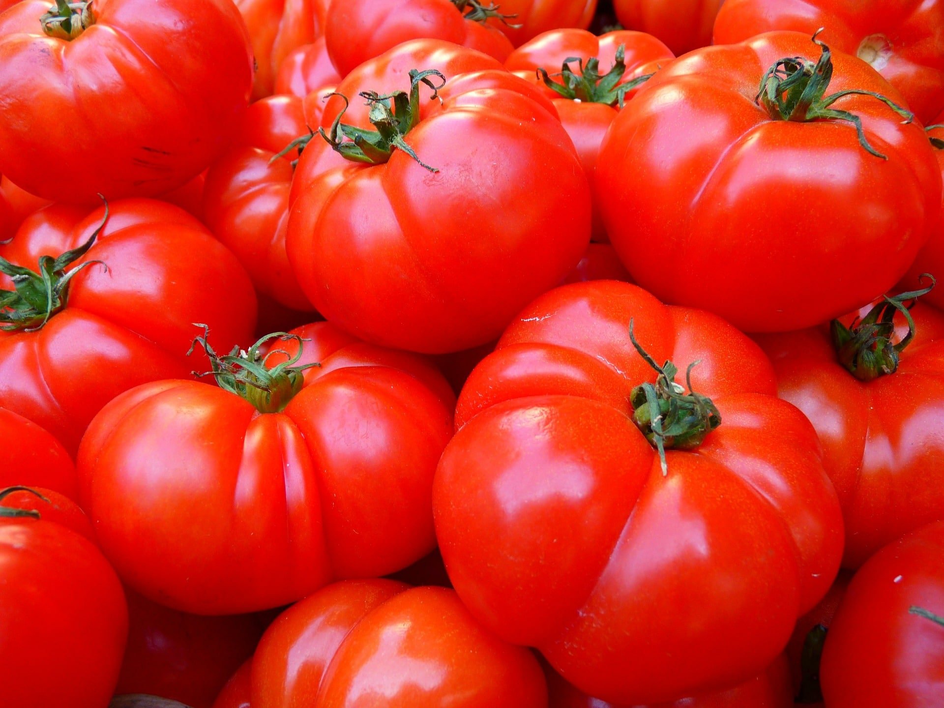 A close up of a pile of tomatoes.