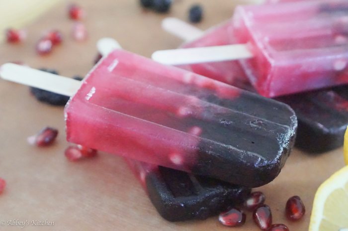 wild_blueberry_paleta_10_of_17.jpg