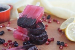 Wild blueberry popsicle
