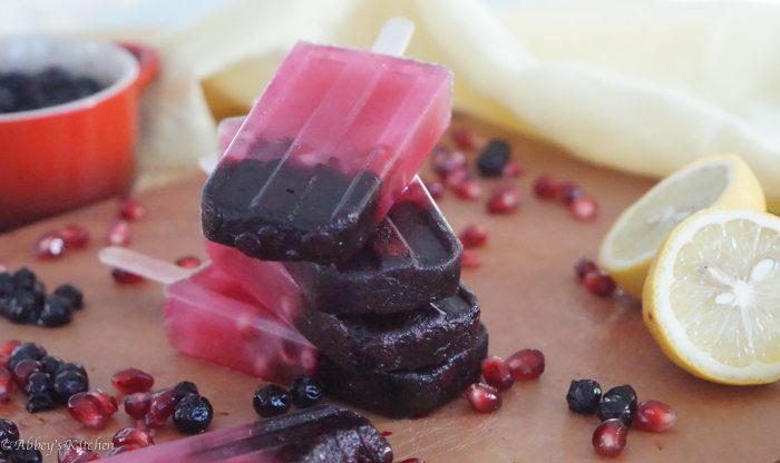 wild_blueberry_paleta_13_of_17.jpg