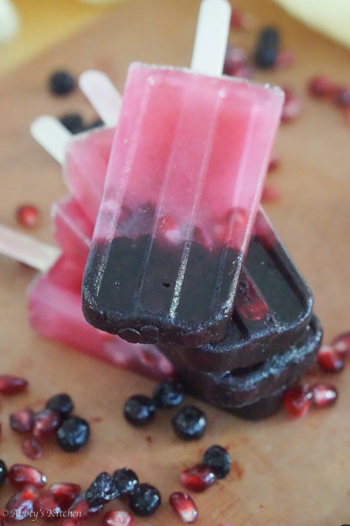 wild_blueberry_paleta_14_of_17.jpg