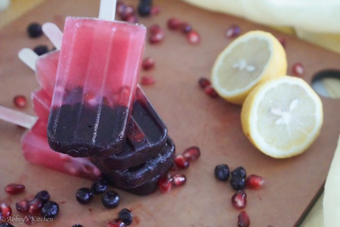 wild_blueberry_paleta_15_of_17.jpg