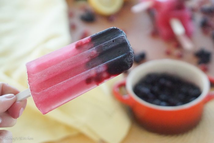 wild_blueberry_paleta_17_of_17.jpg