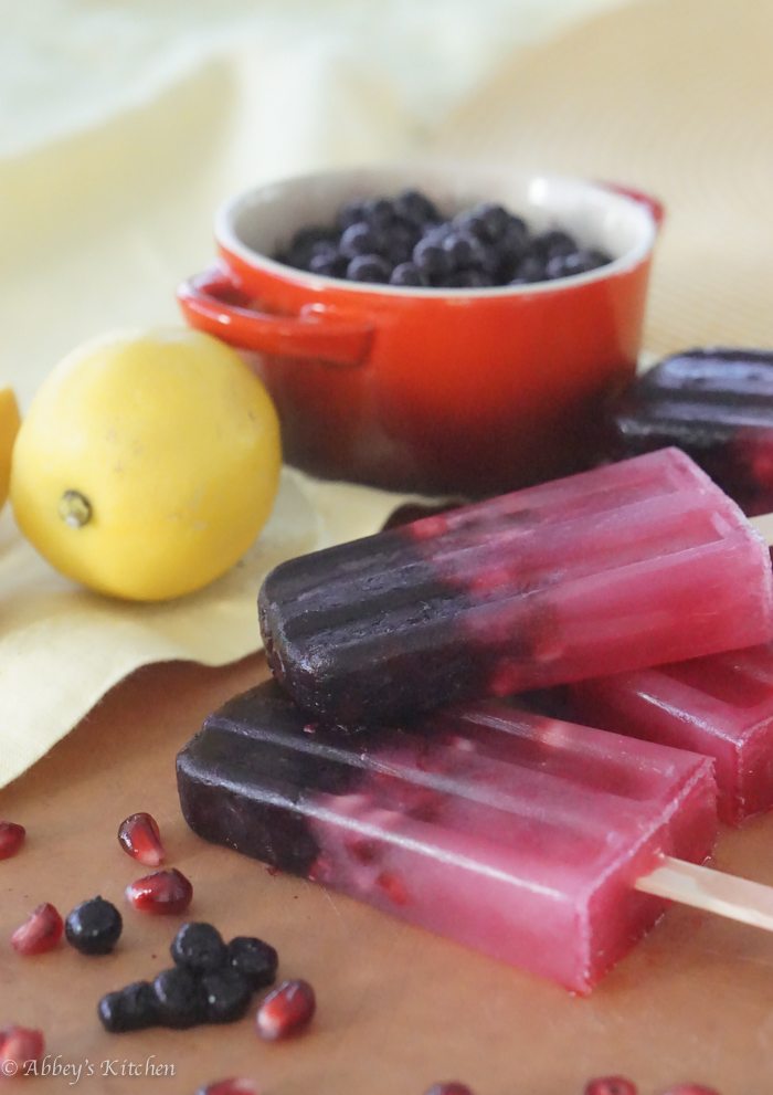 wild_blueberry_paleta_6_of_17.jpg