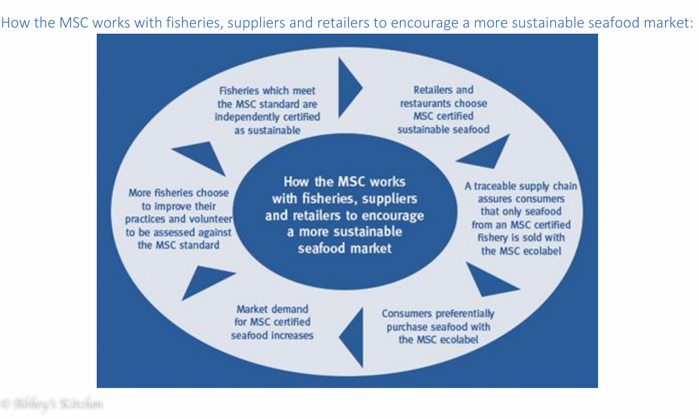 wwf_sustainable_seafood.jpg